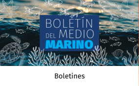 boletin del medio marino