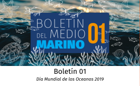 boletin del medio marino 1