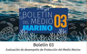 boletin del medio marino 3