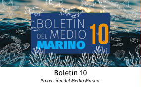 boletin del medio marino 10