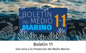 boletin del medio marino 11