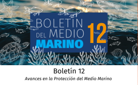 boletin del medio marino 12