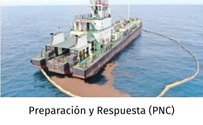 preparación y respuestas (PNC)