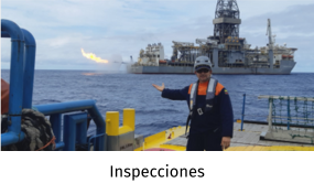 Inspecciones