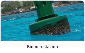 Bioincrustación