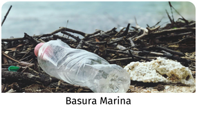 basura marina