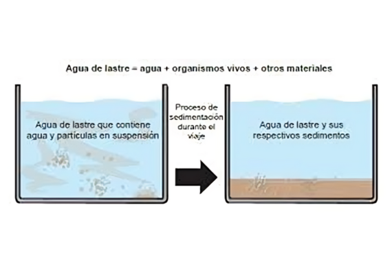 sedimentos de lastre