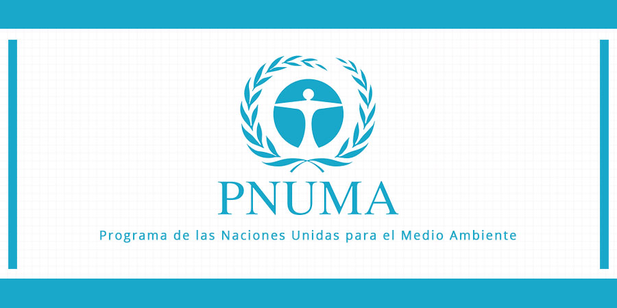 PNUMA