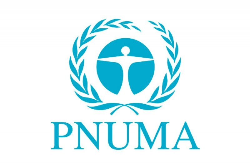 Logo PNUMA