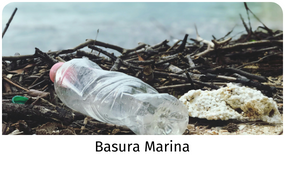 Basura Marina Explora