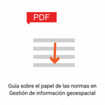 Guía sobre el papel de las normas en Gestión de información geoespacial