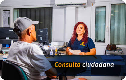 Consulta ciudadana